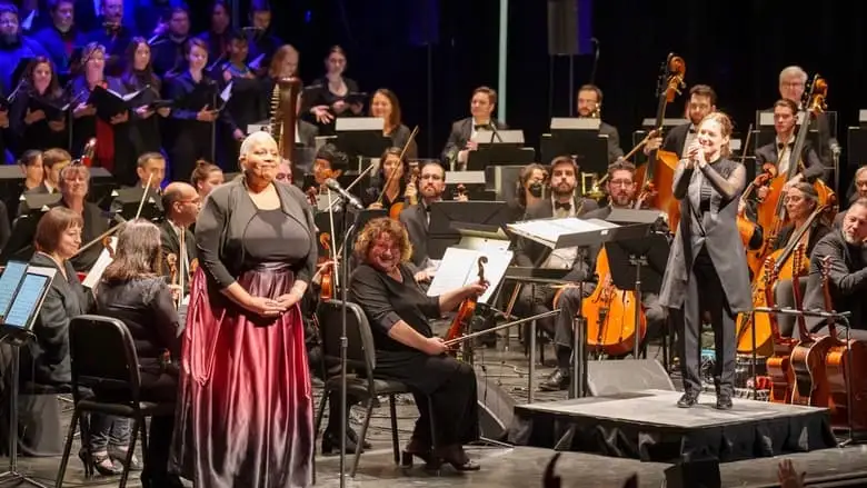 Histoires Sans Paroles: Harmonium Symphonique - Le Film (2024)
