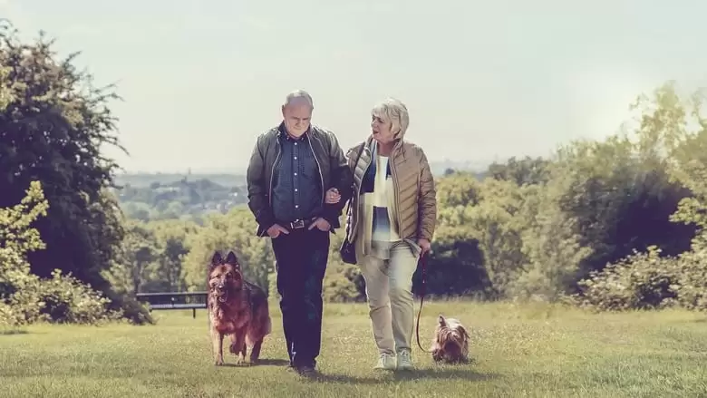 23 Walks (2020)