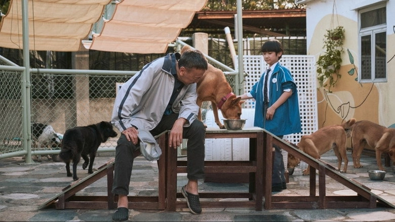 An Abandoned Team (2024)