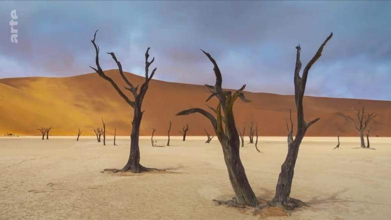 Abenteuer Namibia (2020)