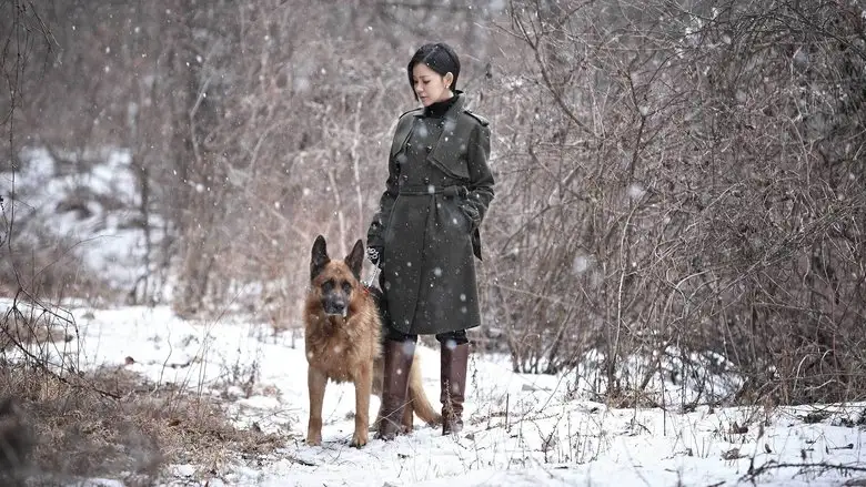 Venus In Furs (2012)