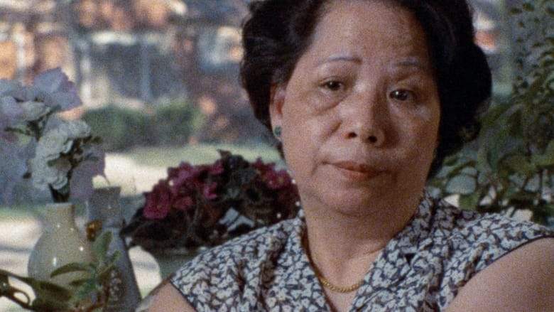 Who Killed Vincent Chin? (1987)
