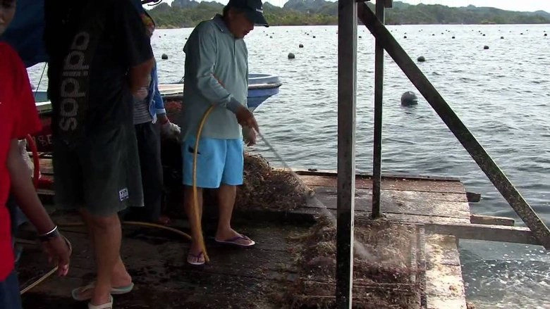 Mutiara, Legende D'une Perle (2010)