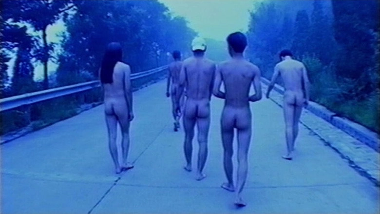The Narrow Path (2004)