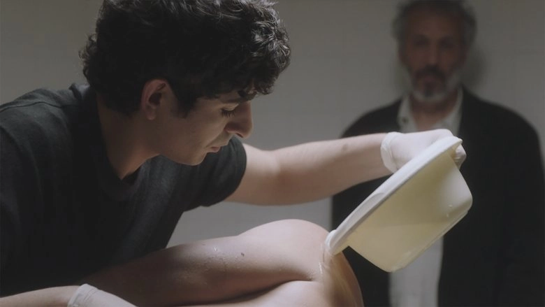 Six Pieds Sur Terre (2024)