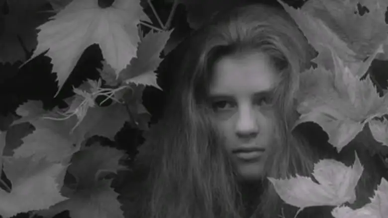 Alice In Wonderland (1966)
