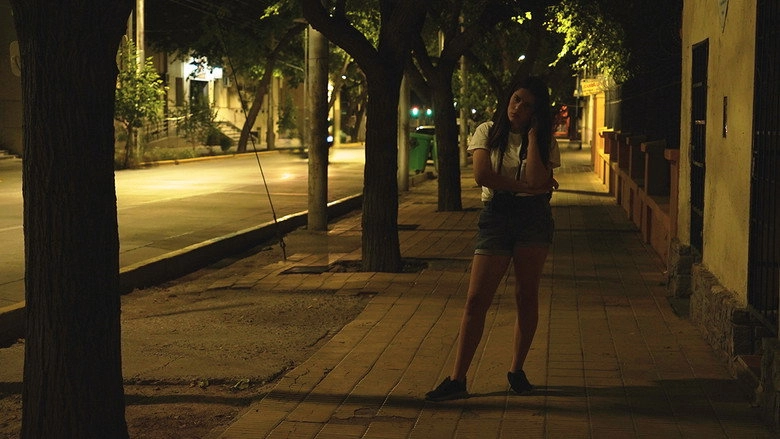 Framed In Silence (2024)