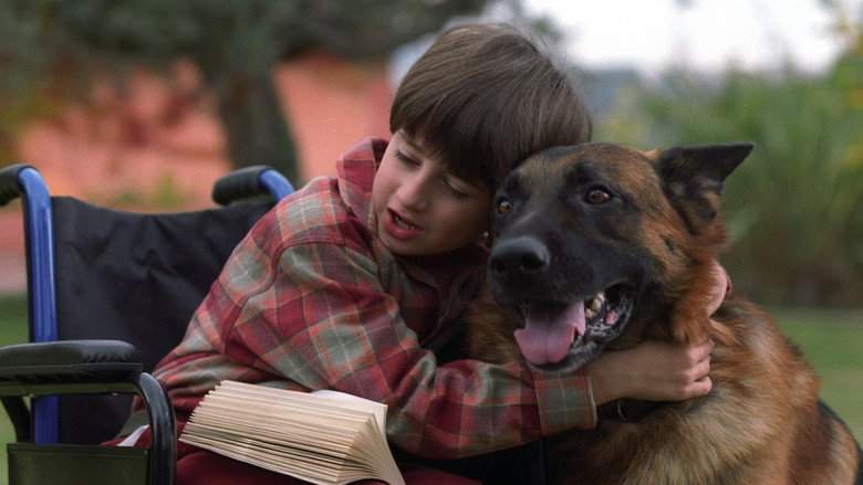 Il Destino Ha 4 Zampe (2002)