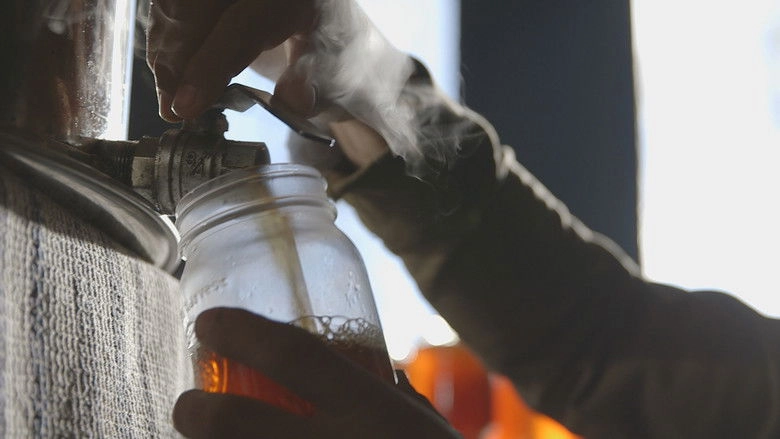 Le Gout D'un Pays (2016)