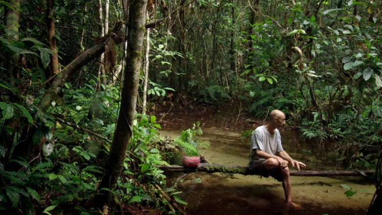 Song From The Forest (2014)