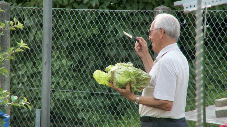Father's Garden: The Love Of My Parents (2013)