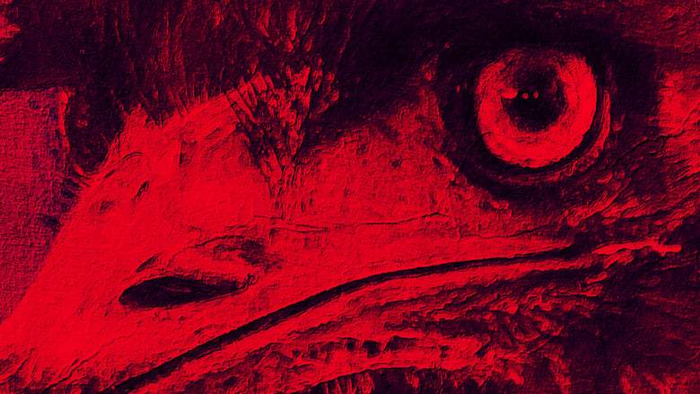 The Dark Emu Story (2023)