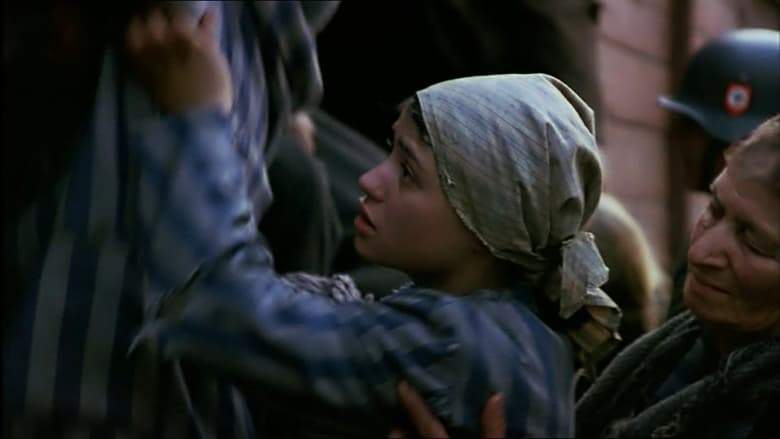 Look To The Sky (1993)
