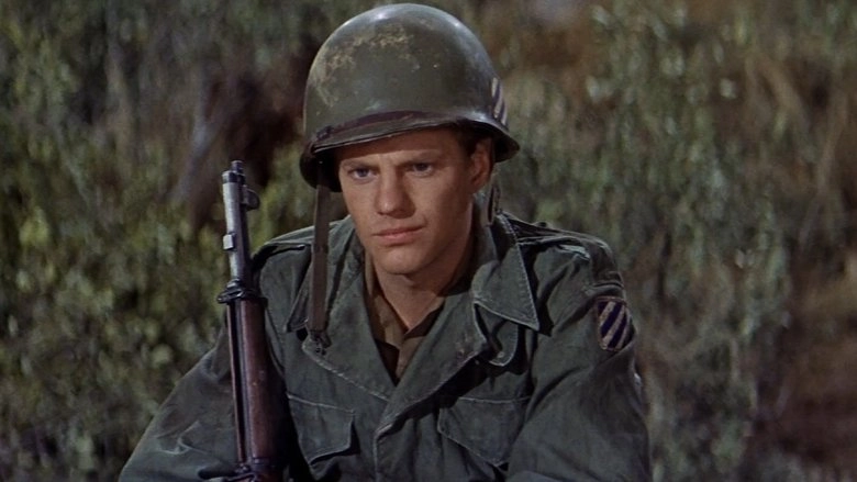 The Young Warriors (1967)