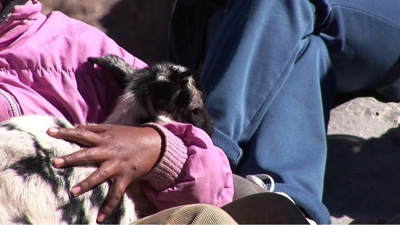 New Argiropolis (2010)