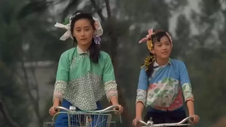 The Twin Bracelets (1991)