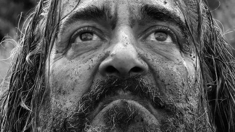 Dio Non Ti Odia (2019)