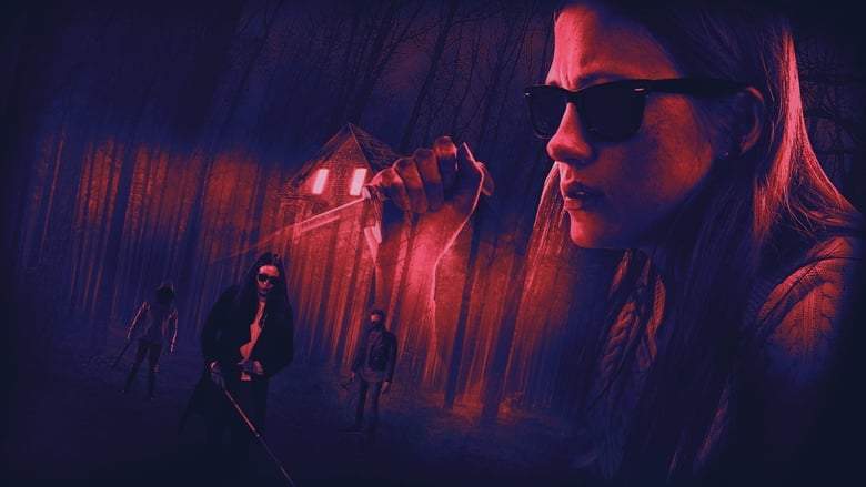 Blindsided (2018)