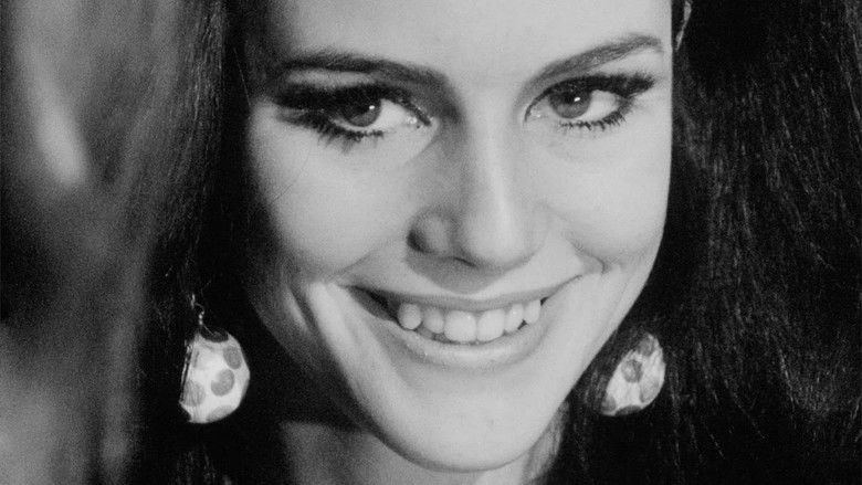 Paraphernalia (1966)