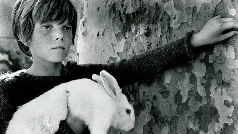 Secret World (1969)