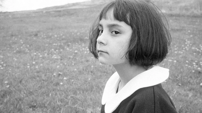 When All The Leaves Are Gone (2010)