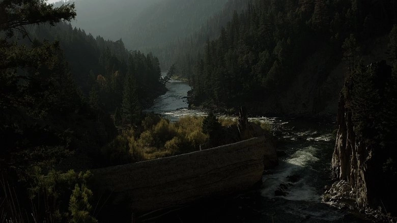 River Of Fundament (2014)
