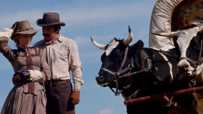 Pioneer Woman (1973)