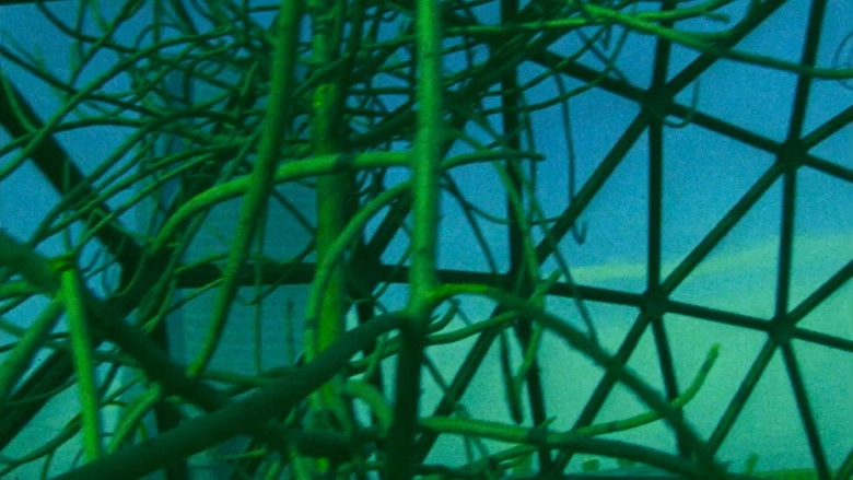 Ornette: Made In America (1986)