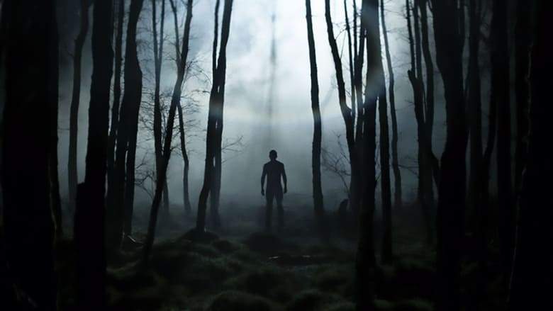Without Name (2017)
