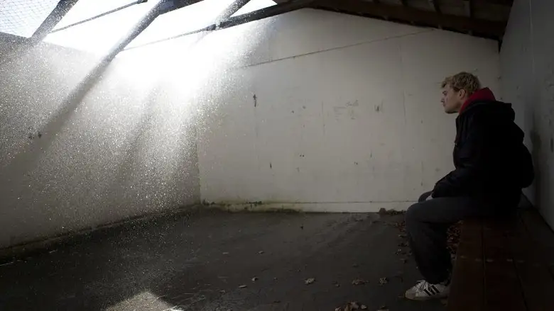 R (2010)