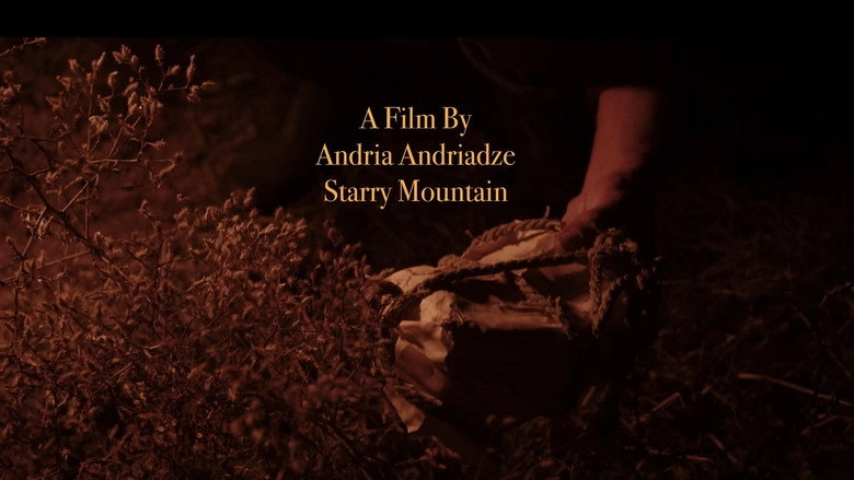 Starry Mountain (2024)