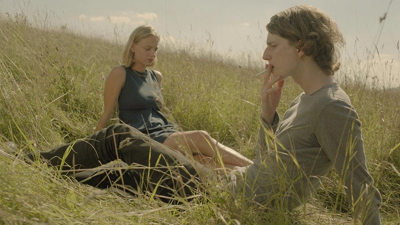 The Nettle (2017)