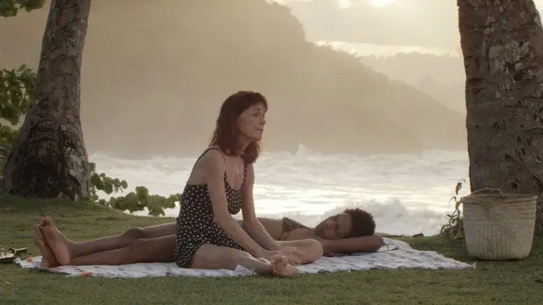 Sand Dollars (2015)