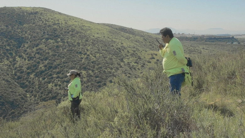 Spare My Bones, Coyote! (2026)