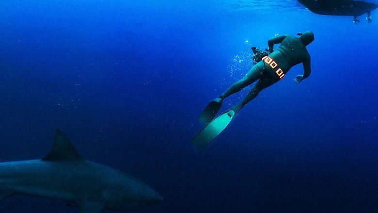 Secrets Of The Bull Shark (2020)