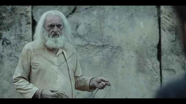 The Animal (2019)
