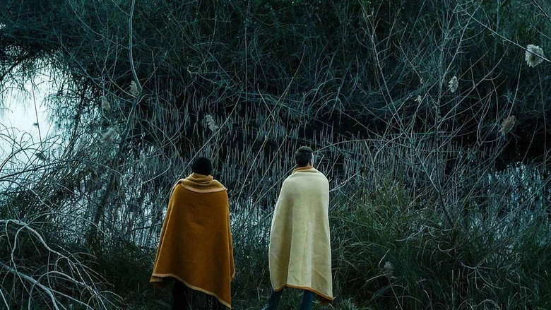 All The Cities Of The North (2016)