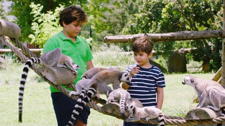 Konusan Hayvanlar (2019)