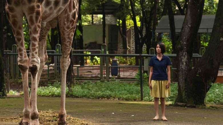 Postcards From The Zoo (2012)