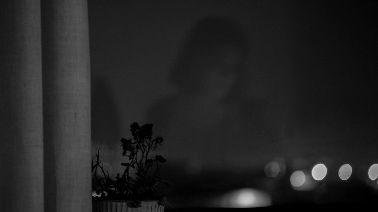 Memories Of A Window (2026)
