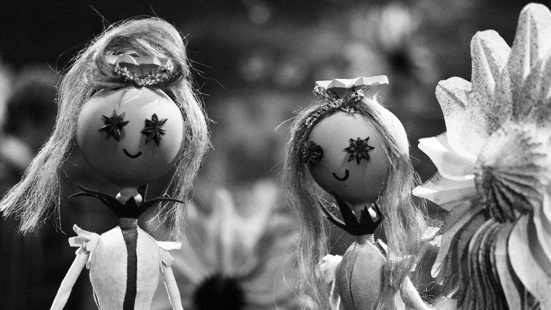 Trávnička (1973)
