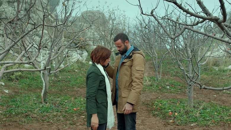The River (2021)