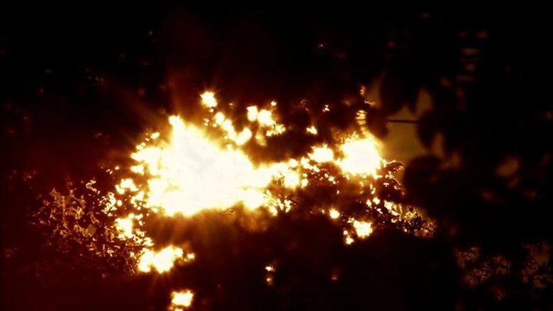 AurA (2009)