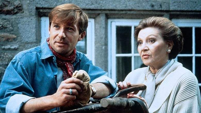 Sturmische Begegnung (1993)