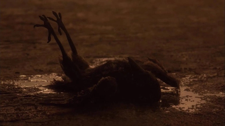 Sororal (2019)