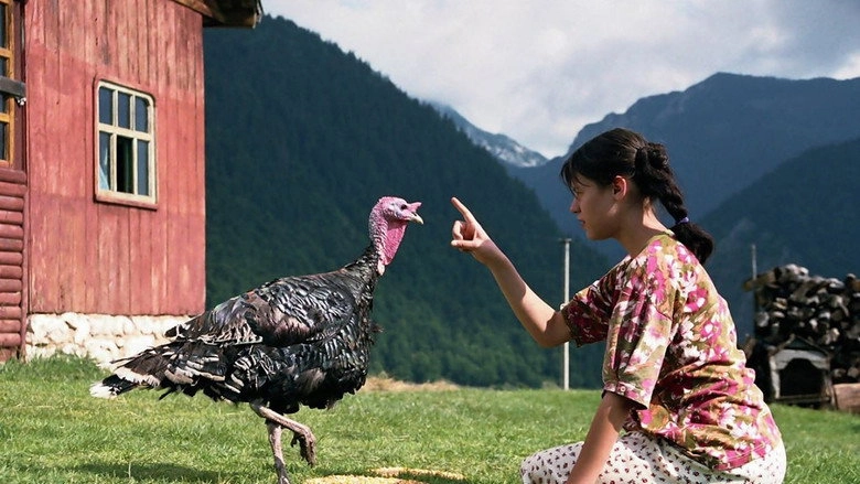 Lost And Found (2005)