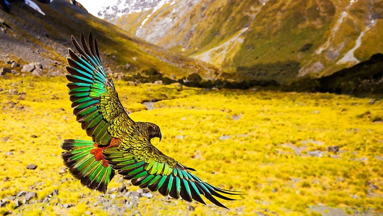 New Zealand: Earth's Mythical Islands (2016)