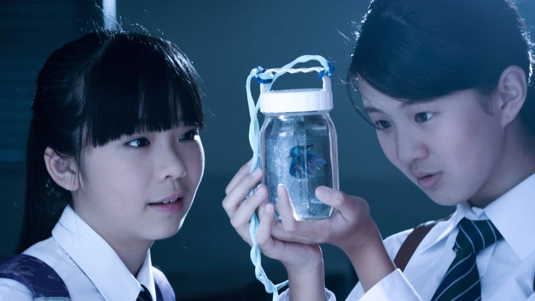 An Indigo (2015)