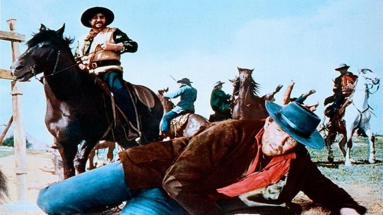 A Few Dollars For Django (1966)