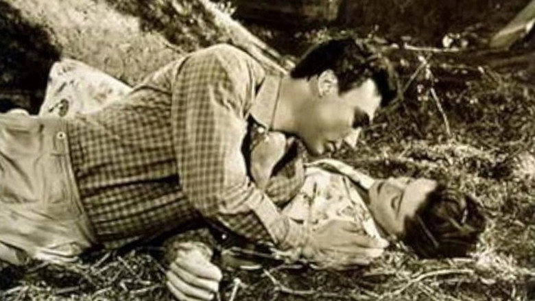 Strano Appuntamento (1950)